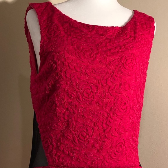 NWT DRESS - Picture 3 of 5